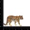 Leopard, Full Body, Walking Right, Realistic Animals, Embroidered, Iron on Patch